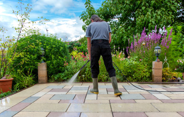 Best Animal Enclosure Cleaning  in Myers Corner, NY